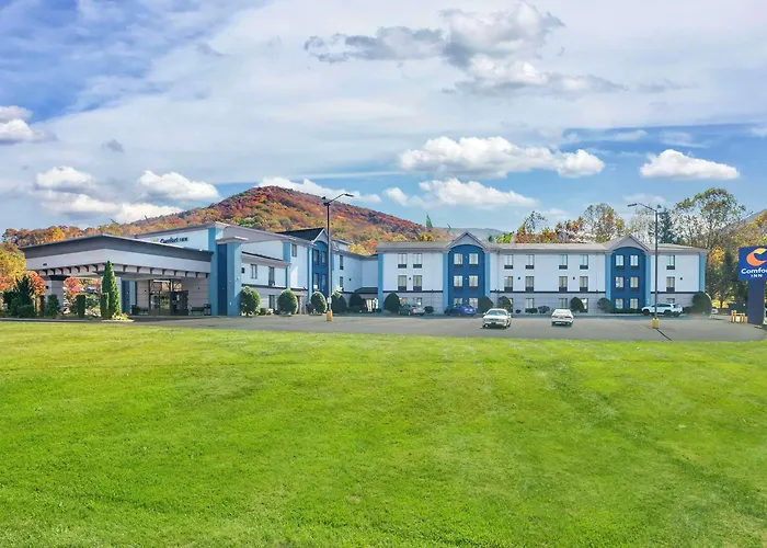 Comfort Inn Asheville East-Blue Ridge Pkwy Access